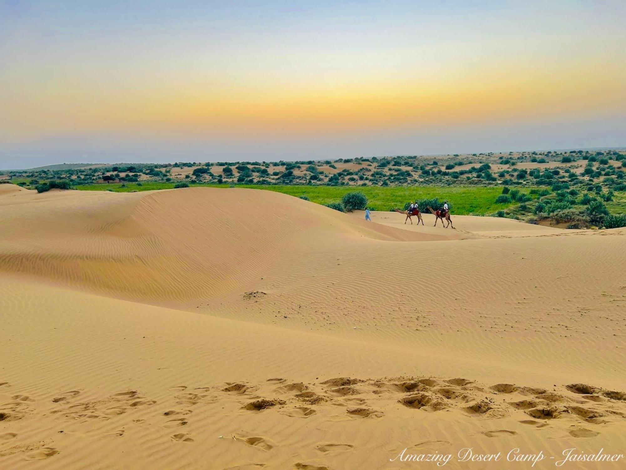 Amazing Desert Camp Jaisalmer Ngoại thất bức ảnh